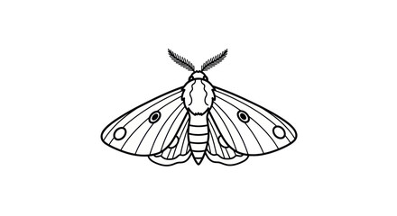 Detailed line art of a moth with patterned wings © roge