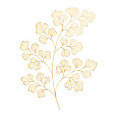 Obraz premium PNG Elegant botanical gold illustration