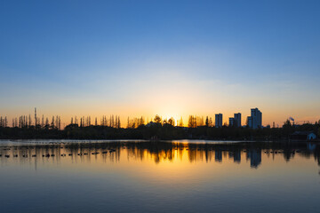 Fototapeta premium City Skyline at Dusk with Forest and Lake Reflection