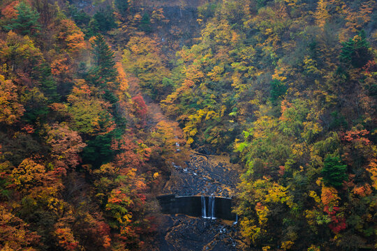 Vibrant Red And Yellow Autumn Foliage Blankets A Steep Mountain Valley With A Small Stream Dam In Japan During Peak Fall Season