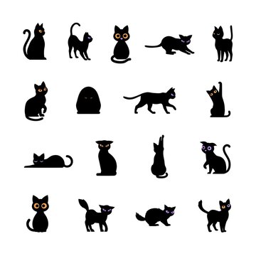 Playful Black Cat Collection