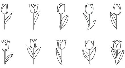 Obraz premium Tulip Line Art Collection On White Background artwork black and white bloom