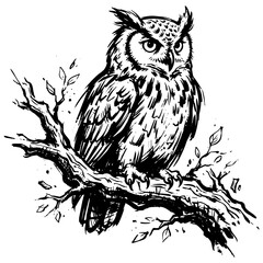 Obraz premium bird, eagle, vector, illustration, nature, head, tattoo, animal, feather, wild, black, wildlife, wing, animals, owl, art, drawing, beak, cartoon, logo, symbol, raven, flying, crow, silhouette