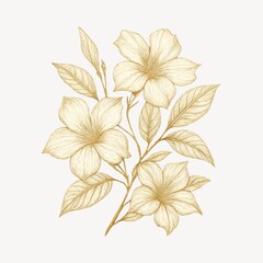 Obraz premium Elegant floral botanical illustration art.
