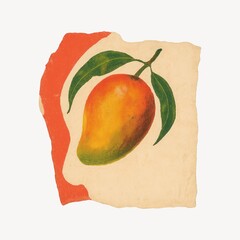 Obraz premium Vintage mango illustration on paper