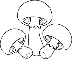 Mushrooms. Line drawings for coloring, educational materials, and decoration.