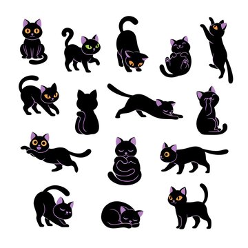 Whimsical Cat Expressions