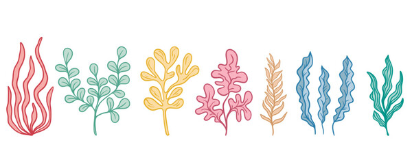Set of different seaweeds. Bunch of underwater plants of different colors and shapes. Elements of the underwater world of sea or ocean, vector graphics © Iry