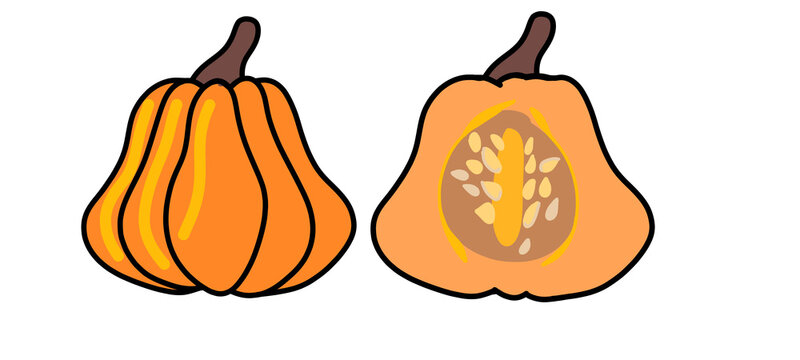 Whole and half ripe orange pumpkin with seeds illustration. Autumn harvest, Thanksgiving, and Halloween vector design eleme isolated on transparent or white background, png