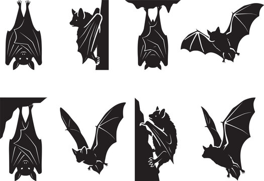 Black bat silhouette vector set featuring bats in flying hanging and roosting poses isolated on white background
