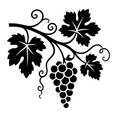 Obraz premium Grapevine Branch black silhouette vector illustration, simple flat clipart design isolated on white background