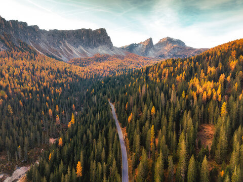 Aerial View of Mountain Road Through Autumn Larch Forest in Dolomites Italy