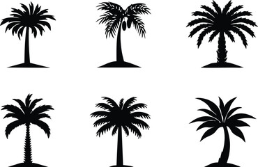 Fototapeta premium Black silhouettes of various palm trees isolated on transparent background for designers.