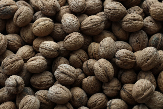 Detailed view on round brown walnuts in big pile on table close up