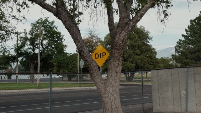 Static shot of a dip warning sign partially framed by a tree beside a roadway.