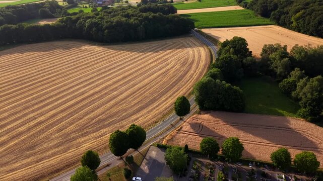 Golden harvested wheat fields stretch beside tree-lined country road in rural America, two cars driving past small roadside cemetery bordering farmland at golden sunset. Aerial drone wide shot