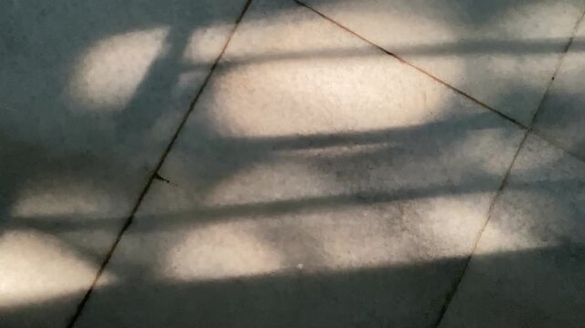 Natural sunlight casting shadows of window bars and plant leaves on clean marble floor tiles.