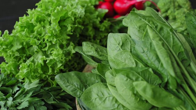 Fresh spinach leaves rotate on display with lettuce, parsley and radish in background. Spinach, leafy greens, green vegetables present organic produce for healthy eating, food marketing. 4k footage