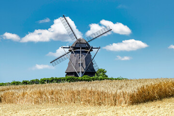 Partially harvested grain field with an old grain mill in the background – 9368 © Wolfgang Jargstorff