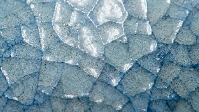 Extreme close-up of iridescent fish scales shimmering with blue and silver hues