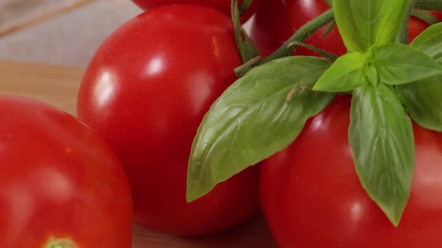 Basilic frais sur des tomates m&ucirc;res en gros plan