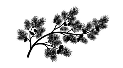 CAD tree lines,  pine tree, Pine branch silhouette with cones, black evergreen tree bough vector, coniferous forest foliage element for winter holiday design Vector © MST