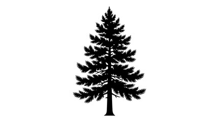 CAD tree lines,  Black grass, Evergreen pine tree silhouette vector, black coniferous fir tree icon on white background, rustic forest spruce element for outdoor branding Vector © MST