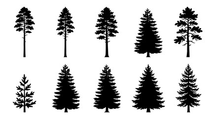 CAD tree lines,  Black grass, Pine tree silhouettes set, 10 coniferous evergreen forest tree vectors, black spruce and fir tree icons for landscape design and outdoor branding Vector © MST