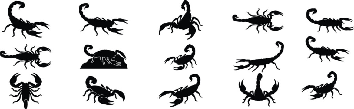 Scorpion Silhouette Vector Set Featuring Various Poses and Styles for Wildlife and Symbolic Design