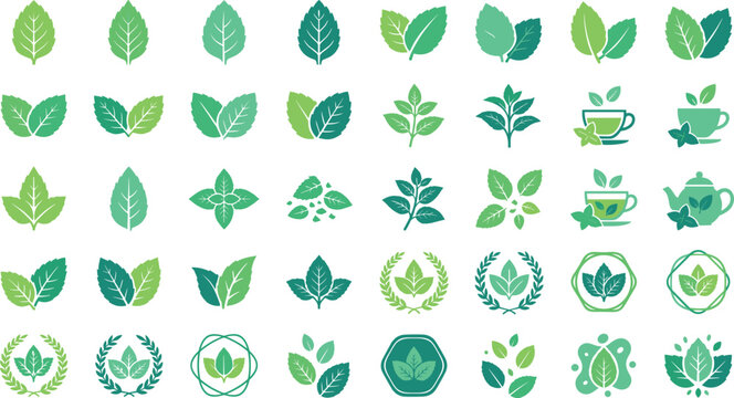 Green mint leaf and herbal tea icon collection vector with fresh leaves peppermint sprigs teacup teapot laurel wreath emblems and organic product labels