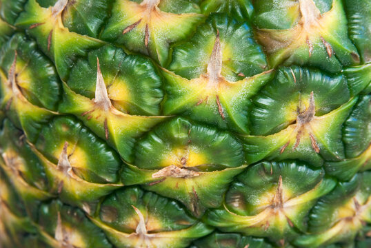 Pineapple crust detail.  Tropical fruit texture.
