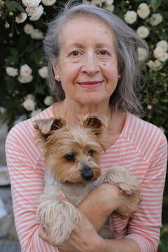 A Yorkshire Terrier with a senior woman 