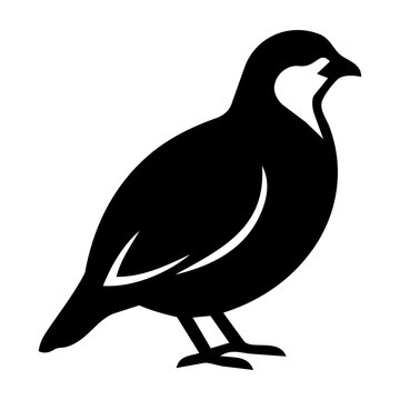 Chukar Partridge Black Silhouette Pakistan Vector Icon