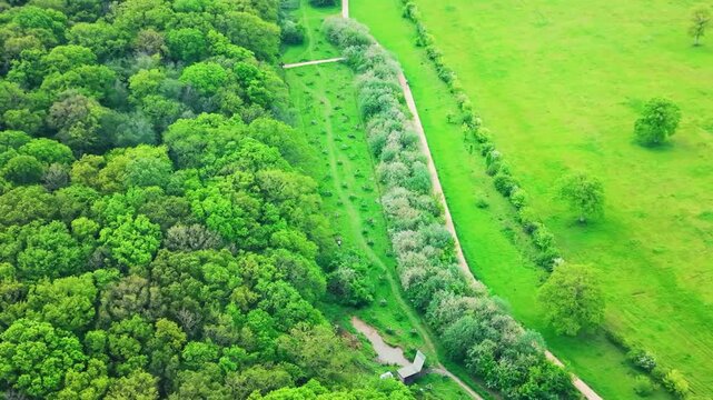 Aerial drone footage of a lush green meadow next to a dense forest and narrow walking path in rural countryside.