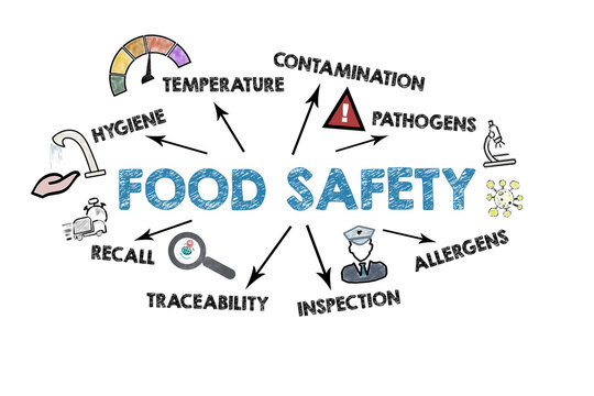 FOOD SAFETY Infographic Explaining Hygiene, Inspection, and Contamination Prevention