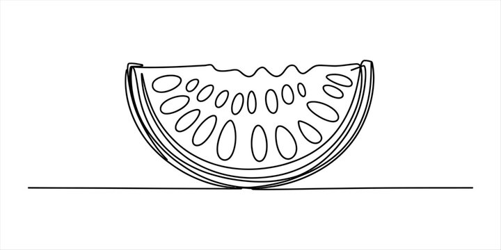 Continuous single line drawing of a fresh watermelon slice with bite marks showing seeds and rind in a minimalist art style for summer fruit design