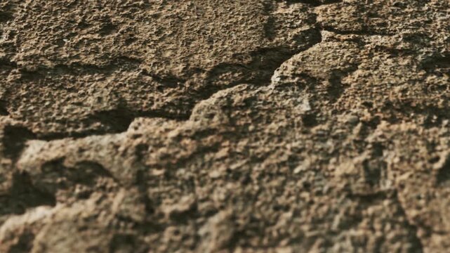 A close up view of a rough rock surface with visible texture and patterns. The light reveals various shades and features of the stone.