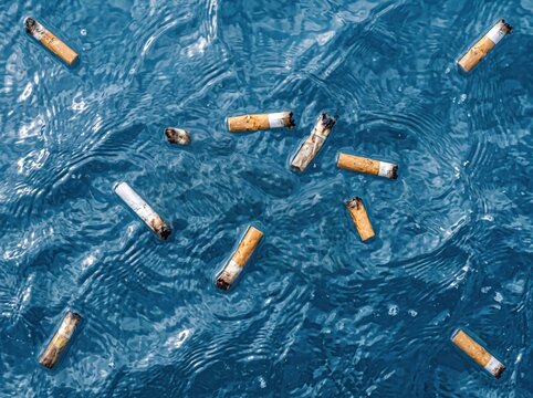 Cigarette Butts Floating in Water: Numerous cigarette butts are scattered across the surface of blue water, polluting the environment and highlighting the issue of waste.