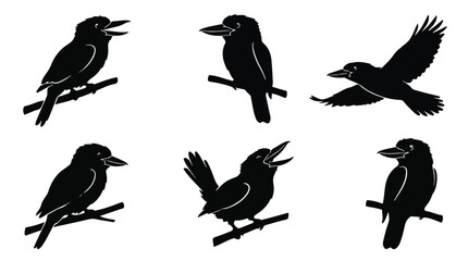 Fototapeta premium A set of six kookaburra bird silhouette vector icon illustrations on a white background 