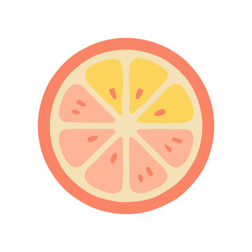 Fresh Grapefruit Citrus Fruit Slice.