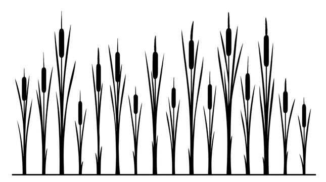 CAD tree lines Tree Black tree silhouette Black grass Black cattail silhouette vector set, marsh reed and bulrush plant icons, swamp grass botanical elements for nature landscape design Vector