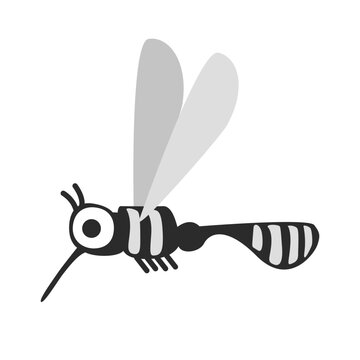 mosquitoes control. dengue fever and zika infection concept