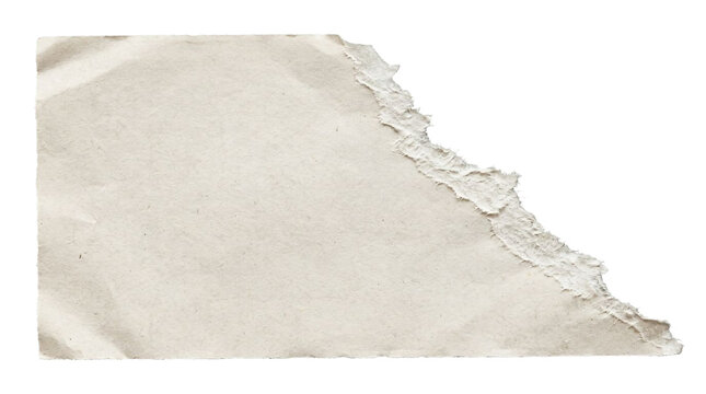 Torn paper edge isolated on transparent. Ripped craft paper texture with rough deckle edge.