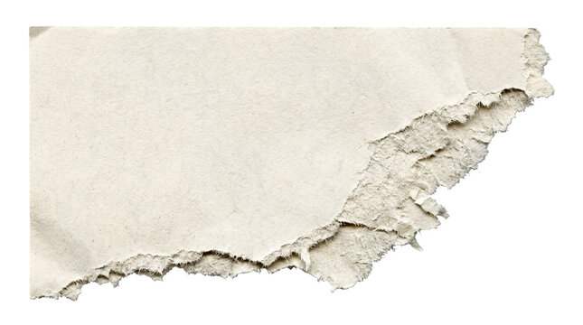 Torn paper edge isolated on transparent. Ripped craft paper texture with rough deckle edges.