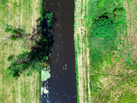 Top down aerial view of a narrow water canal running vertically through green fields with duckweed and trees.