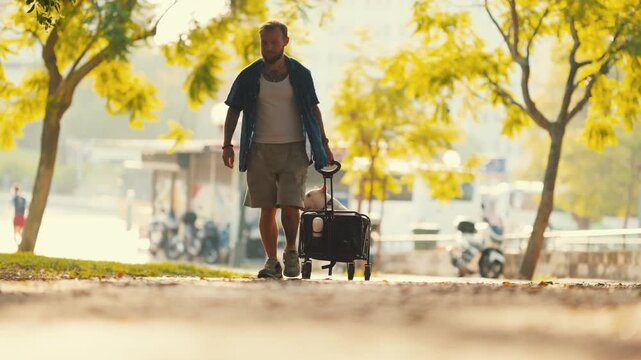 Man walking with a bull terrier in a pet stroller along a sunlit path lined with trees, showcasing a leisurely outdoor stroll in a vibrant setting