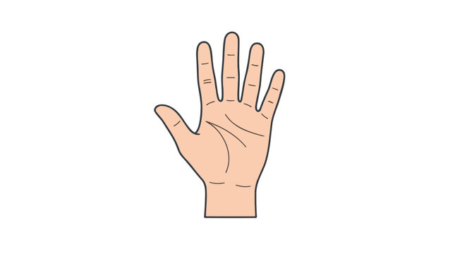 Illustration of a human hand with fingers spread open and palm visible