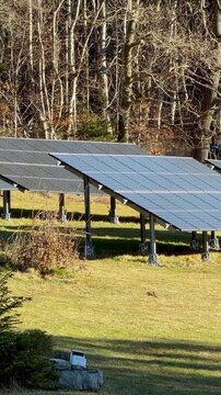 Solar panel arrays installed in a sunlit meadow with a backdrop of autumn trees, representing renewable clean energy production and sustainable modern power systems. Zoom, vertical