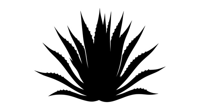 CAD tree lines Tree Black tree silhouette Black grass Agave plant silhouette vector, black succulent cactus icon on white background, desert agave blue plant graphic for tequila or mezcal labels