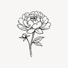 Obraz premium Elegant floral line art illustration.